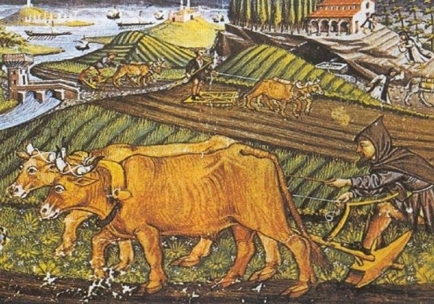 Feudalismo2