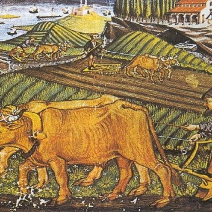 Feudalismo2 News Rincón de la historia