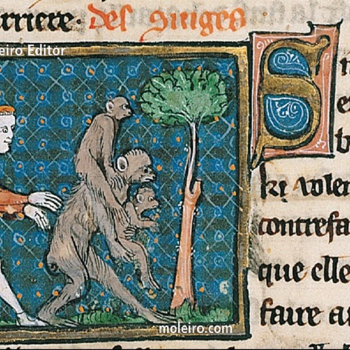 DestacadaMonoEdadMedia News Rincón de la historia