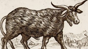 Leyendas gallegas. Criaturas presentes en la mitología gallega Rincón de la historia