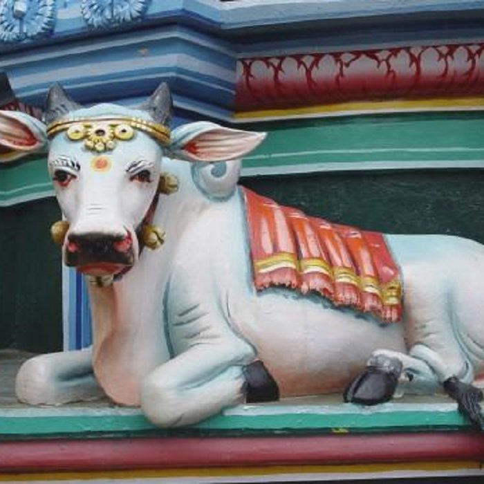 Animales_sagrados News Rincón de la historia