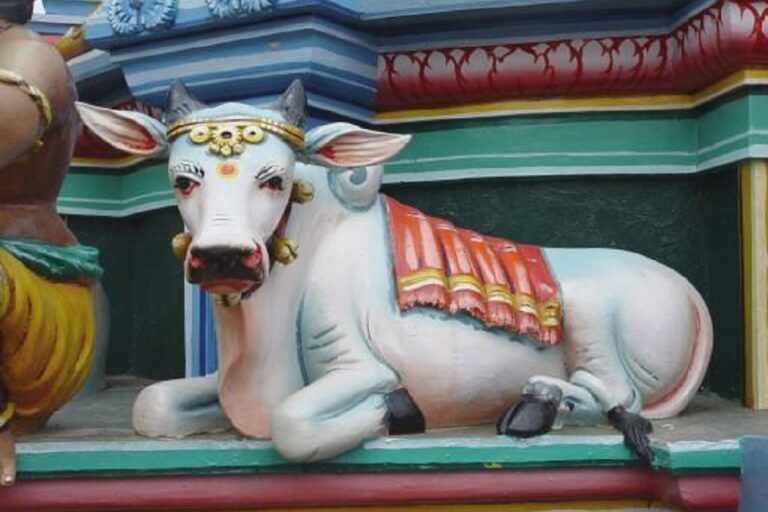 O Recuncho da Historia Recuncho da historia