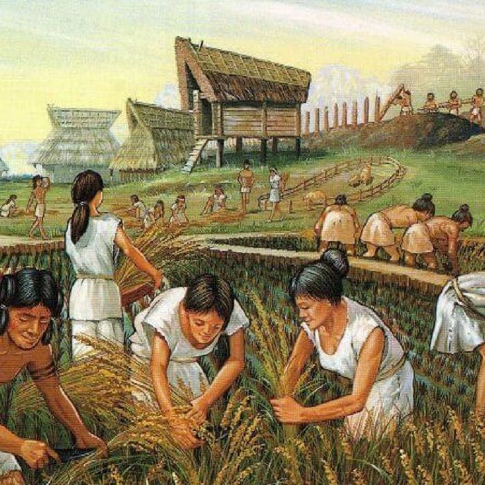 LavidaenelNeolitico News Rincón de la historia