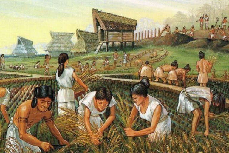 LavidaenelNeolitico Blog Prehistoria, Rincón de la historia