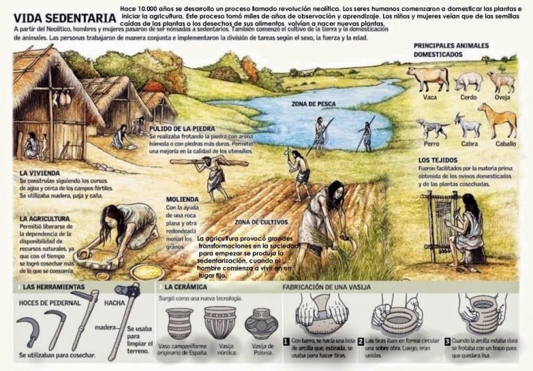 la-vida-durante-el-neol-tico