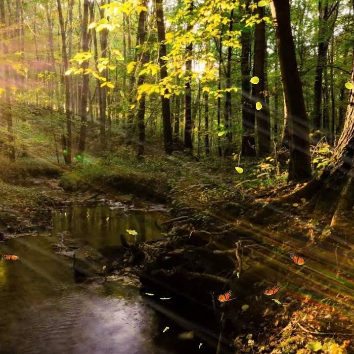 FragadeCecebre News Rincón de la historia