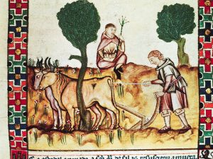 Agricultura en la Edad Media