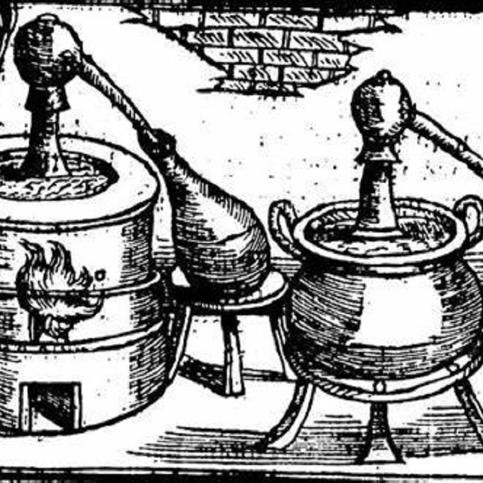 Evolucion-perfume-historia News Rincón de la historia