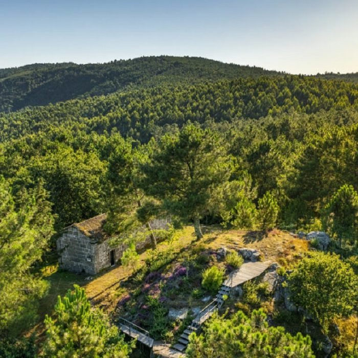 Castro-de-Penalba News Rincón de la historia