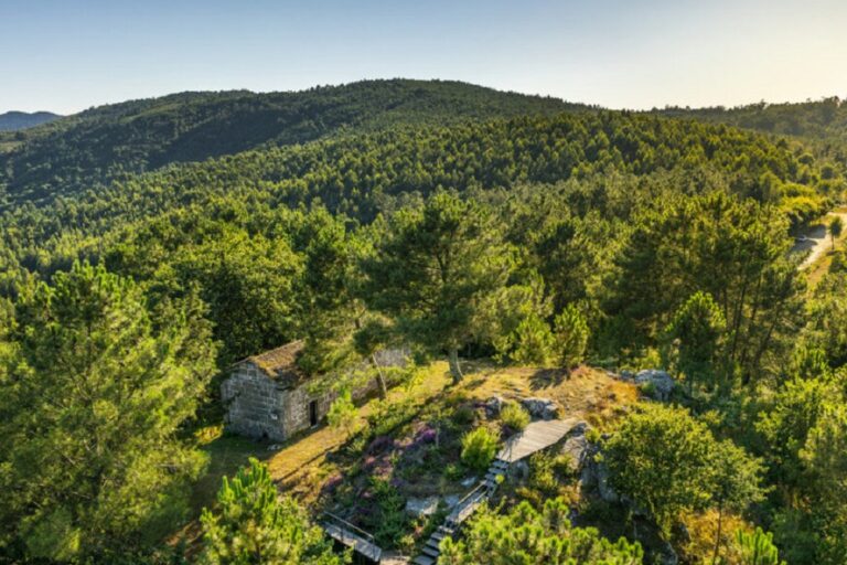 Blog Mundo Castrexo, Rincón de la historia, Sugerencias