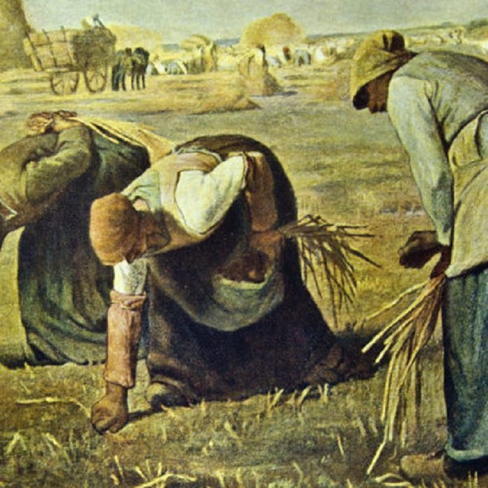 Campesionos en la Edad Media News Rincón de la historia