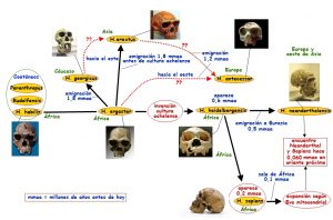 Los yacimientos de la sierra de Atapuerca Prehistoria, Qué ver, Rincón de la historia, Sugerencias