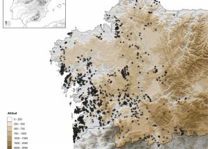 Petroglifos en Galicia Prehistoria, Recuncho da historia