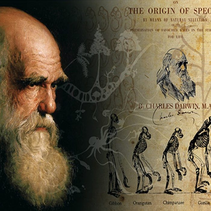 Charles-Darwin-el-padre-de-teoria-evolucion News Rincón de la historia