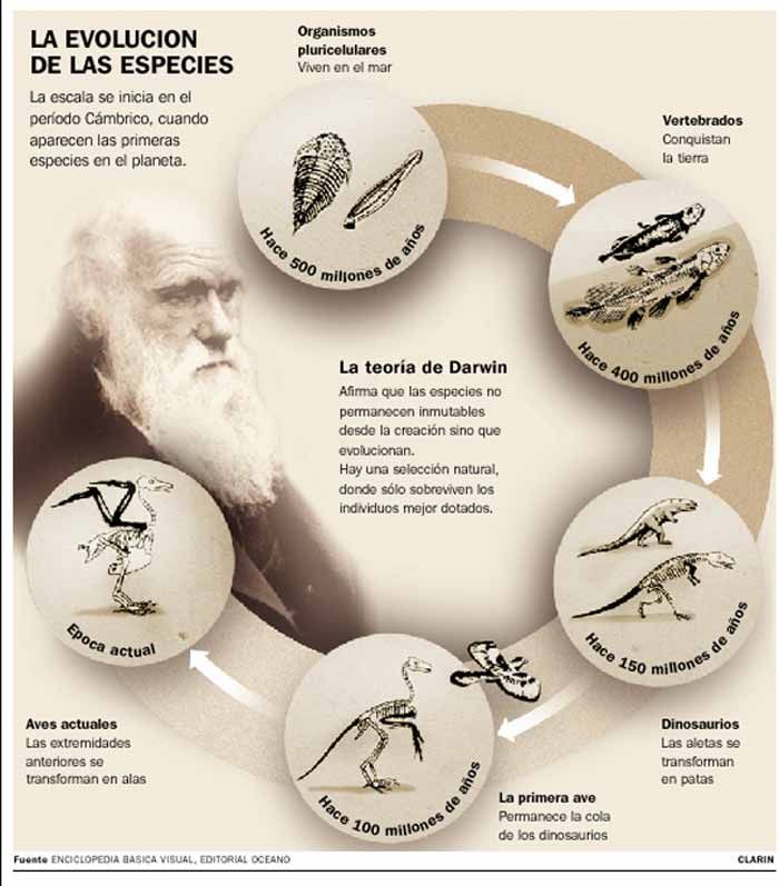 Charles Darwin, o pai da teoría da evolución Recuncho da historia, Uncategorized @gl