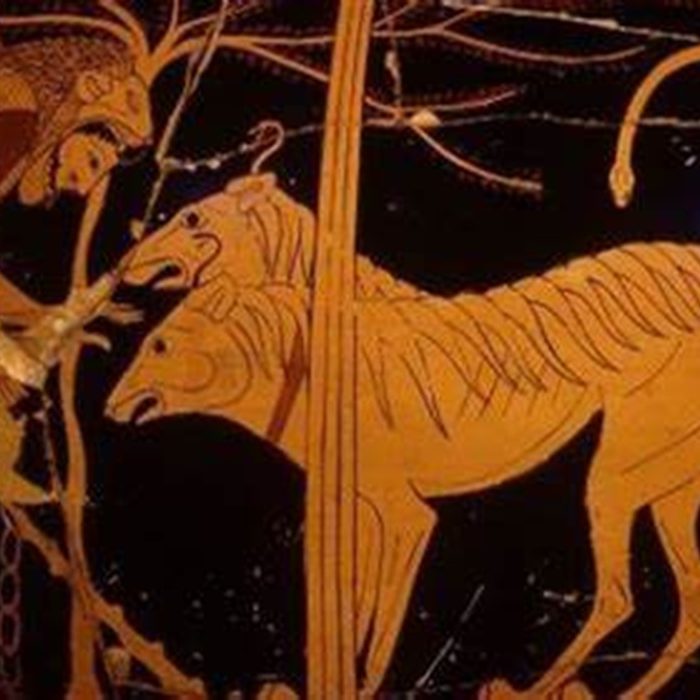 OCanUrco News Rincón de la historia