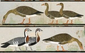 A pintura no antigo Exipto Mundo Antigo, Mundo Antiguo, Recuncho da historia