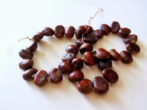 El collar de zonchos Rincón de la historia