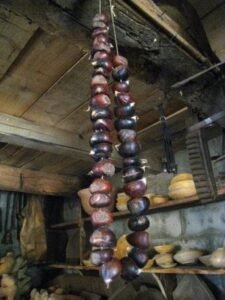 El collar de zonchos Rincón de la historia